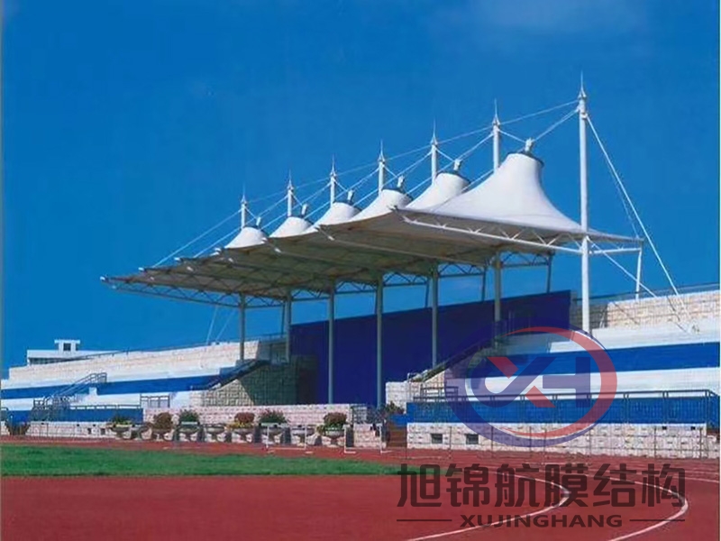 景观棚体育看台 